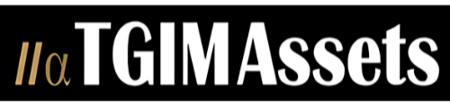 MEIS May 2025 Sponsor - TGIM Assets